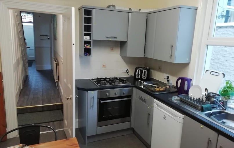 Sea View Avenue, Lipson, Plymouth - Image 1